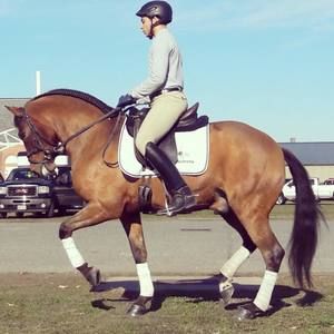 Meet your Posher, Bruno